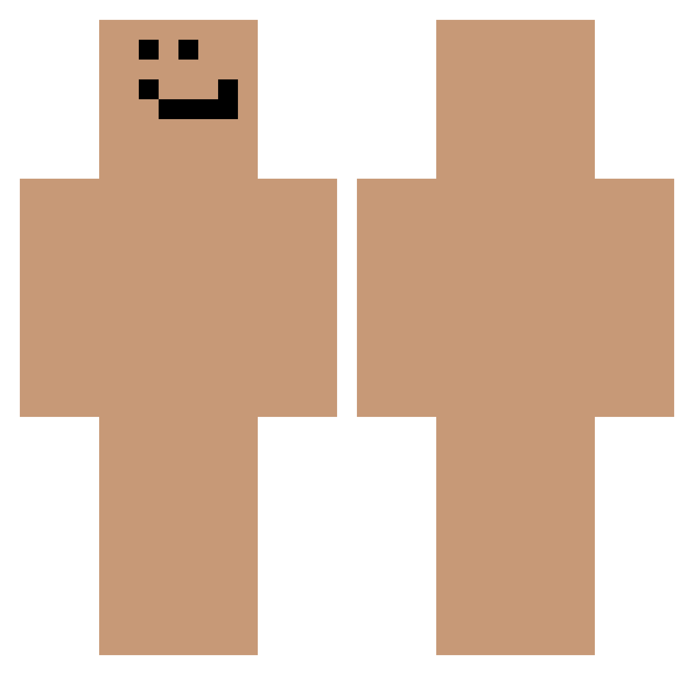 Sapit_ Minecraft skin, front and back view