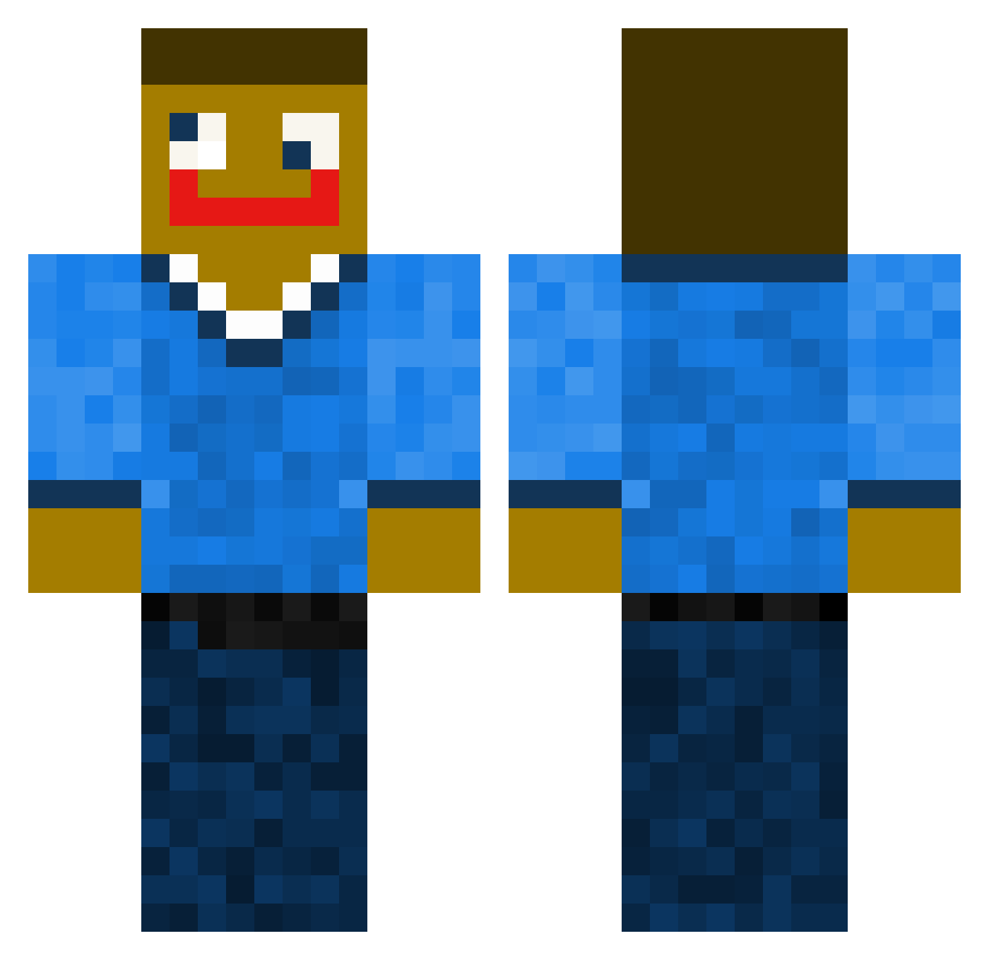 TimBerli_ Minecraft skin, front and back view
