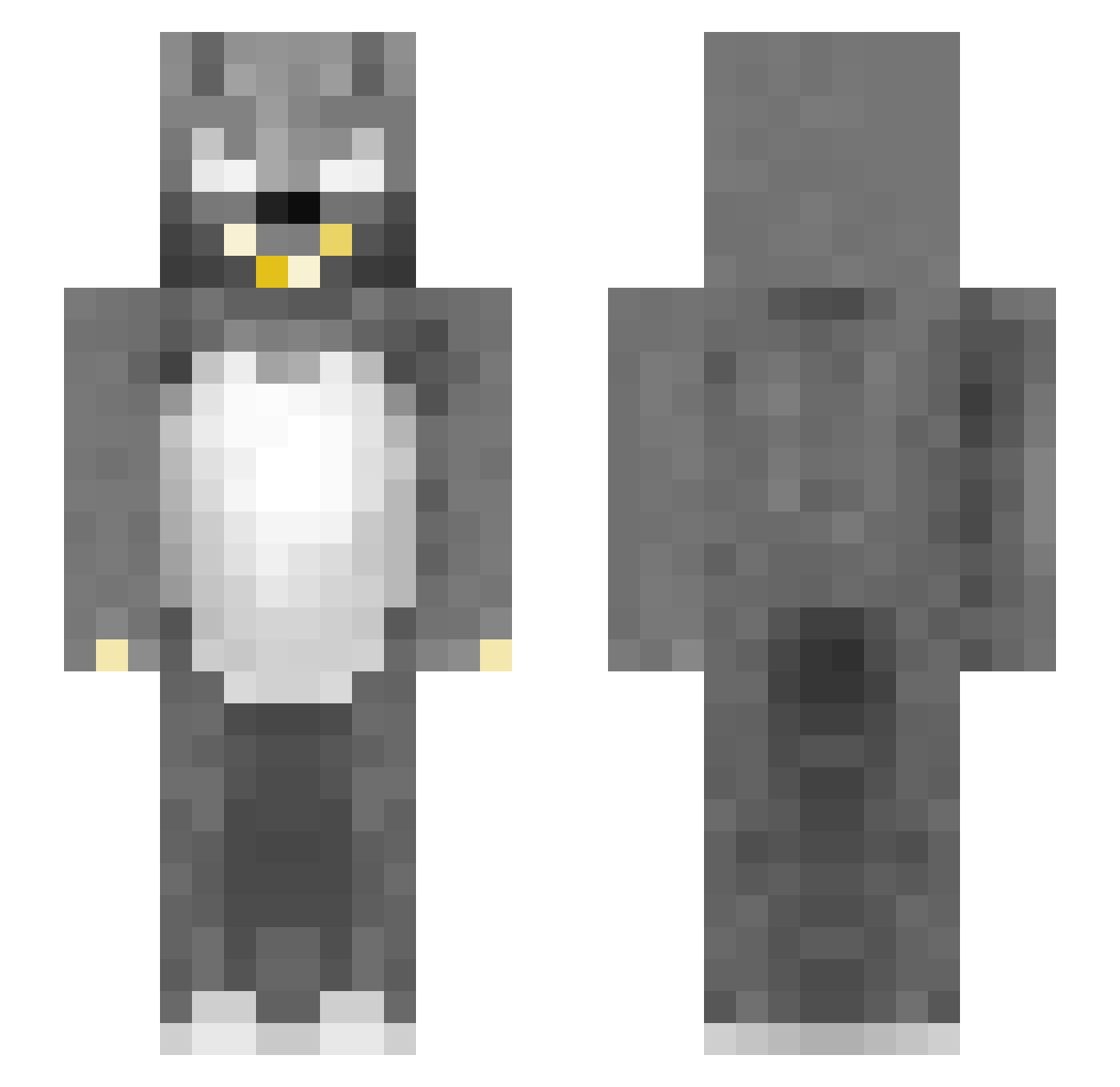 Niderejplz Minecraft skin, front and back view