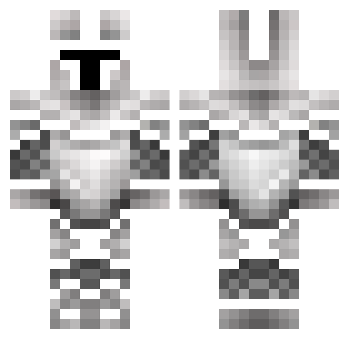 RIKICARRE Minecraft skin, front and back view