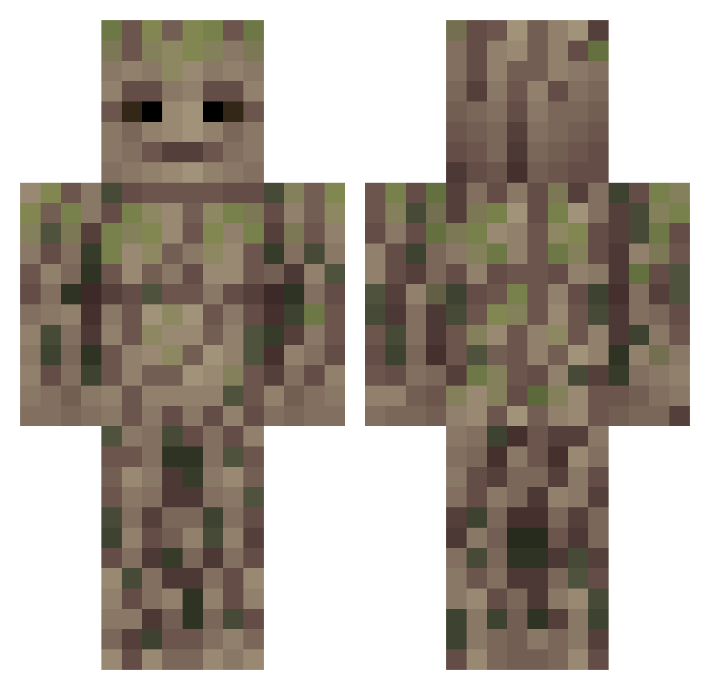 DAPTORCZ10 Minecraft skin, front and back view