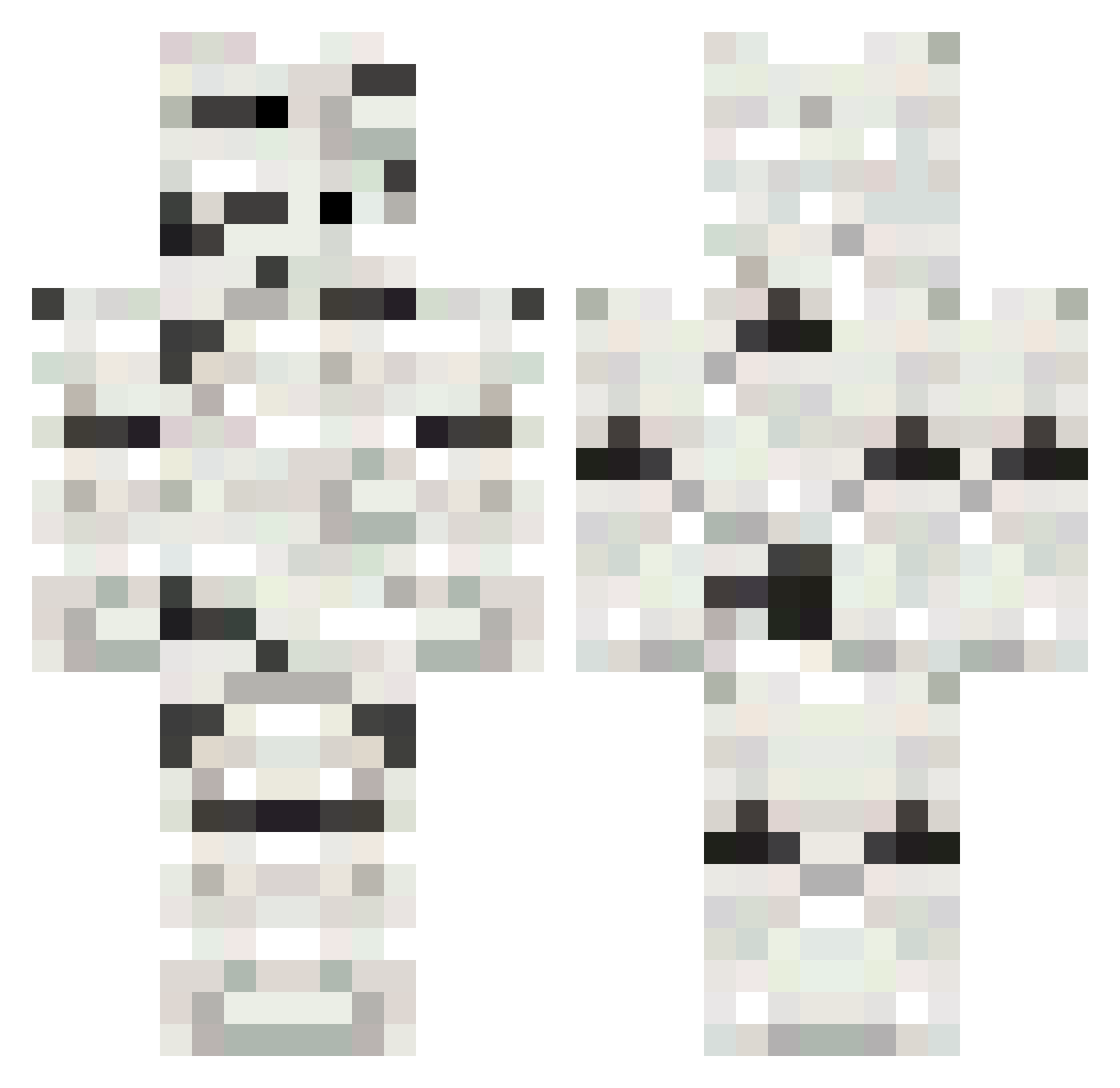 ZekerJoost Minecraft skin, front and back view