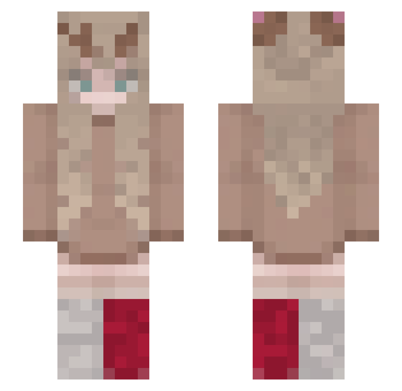 AllesMego Minecraft skin, front and back view