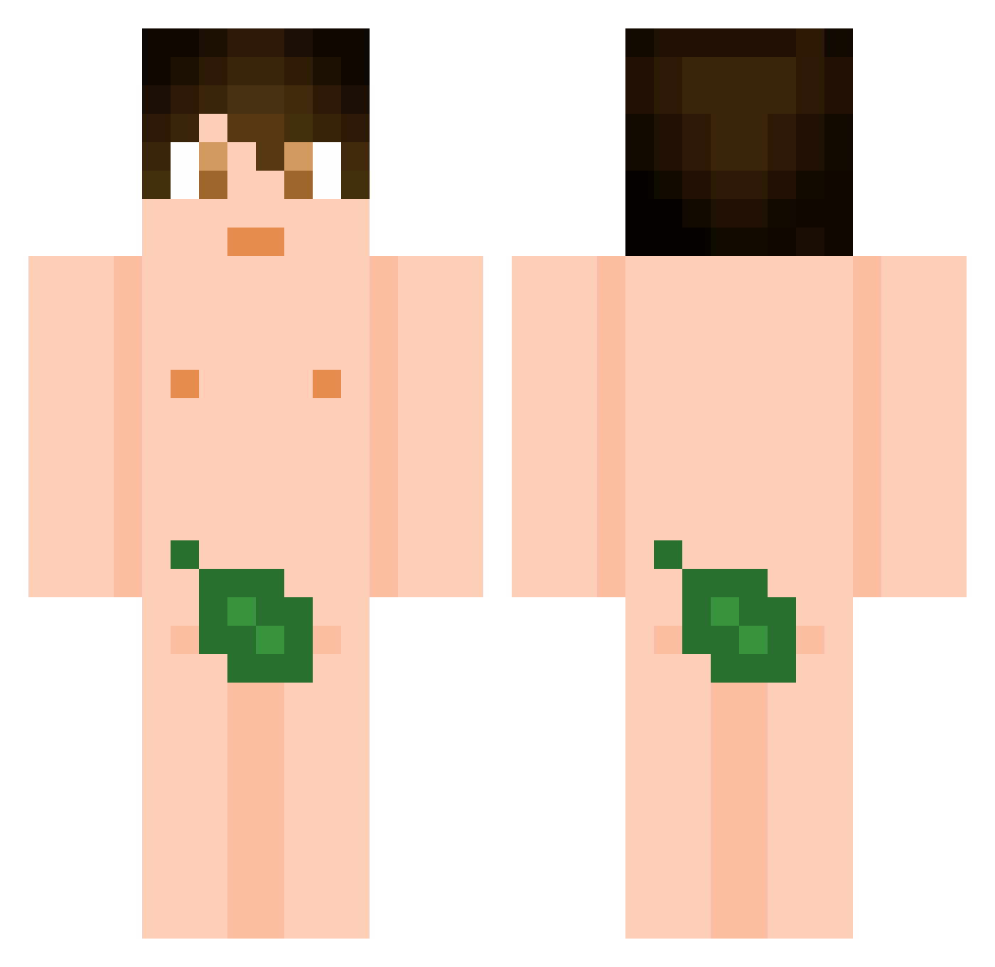 henry73 Minecraft skin, front and back view
