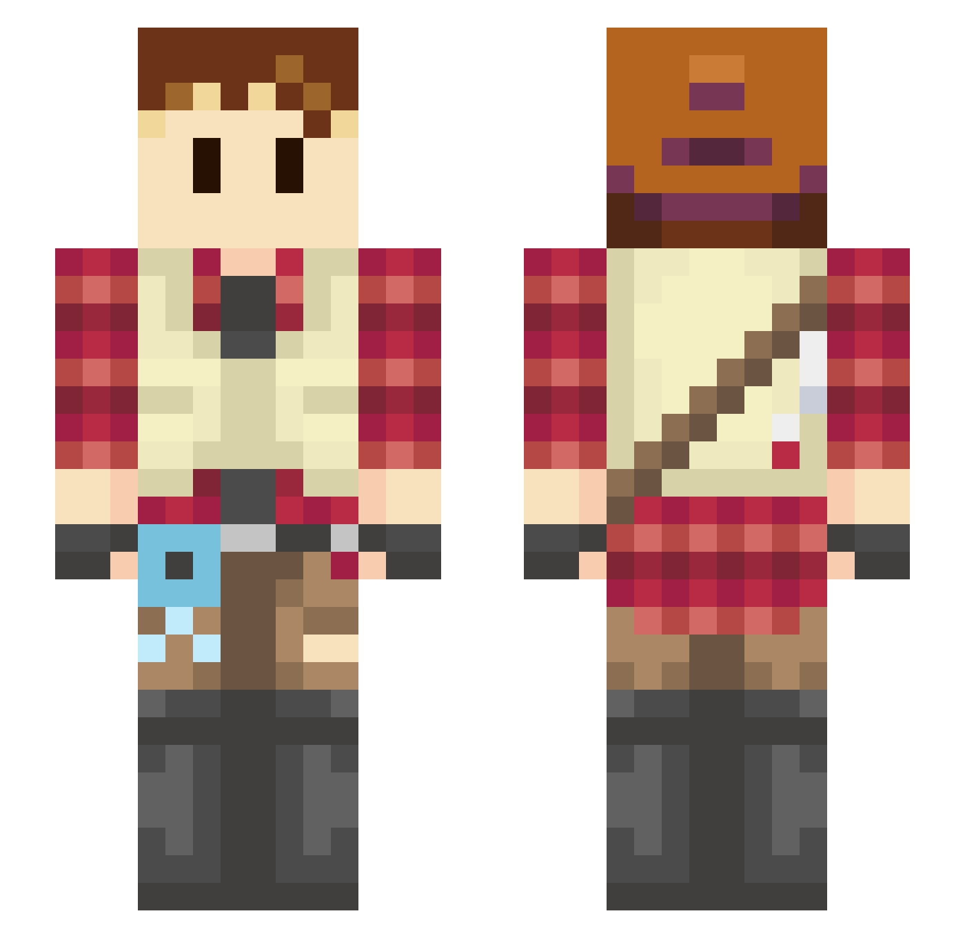 Poylar Minecraft skin, front and back view