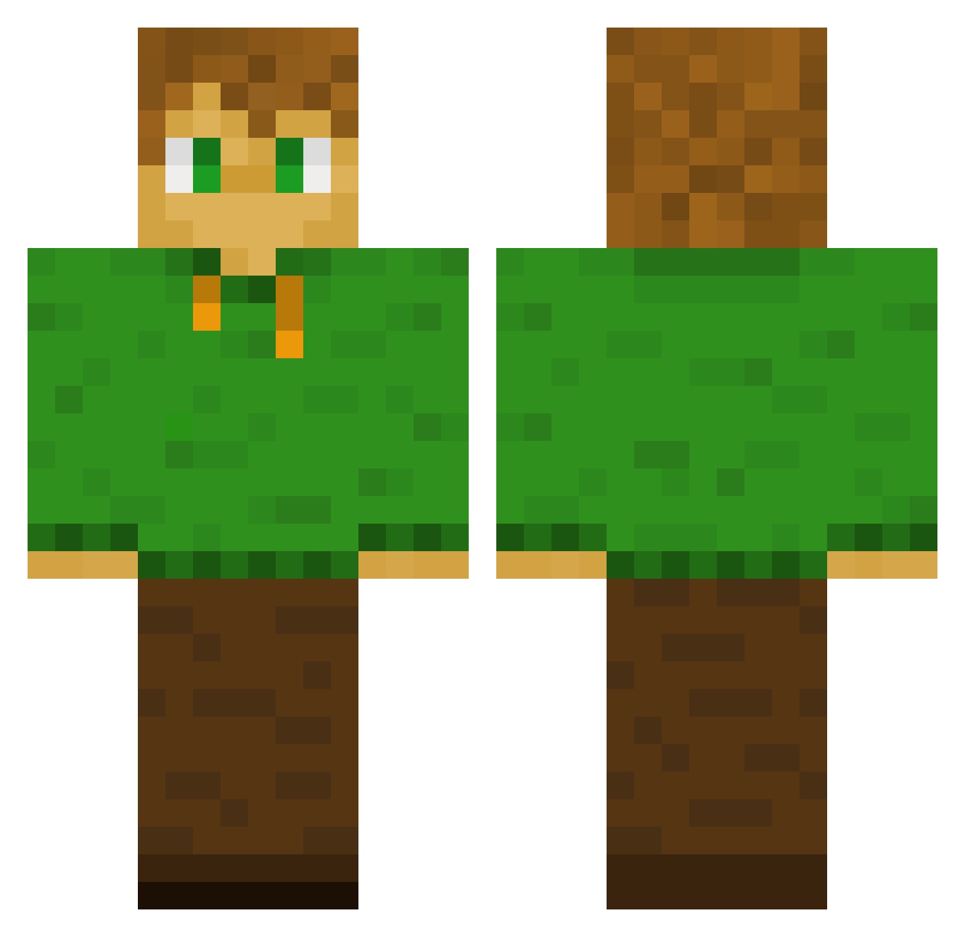 Zolw_rzeczny Minecraft skin, front and back view