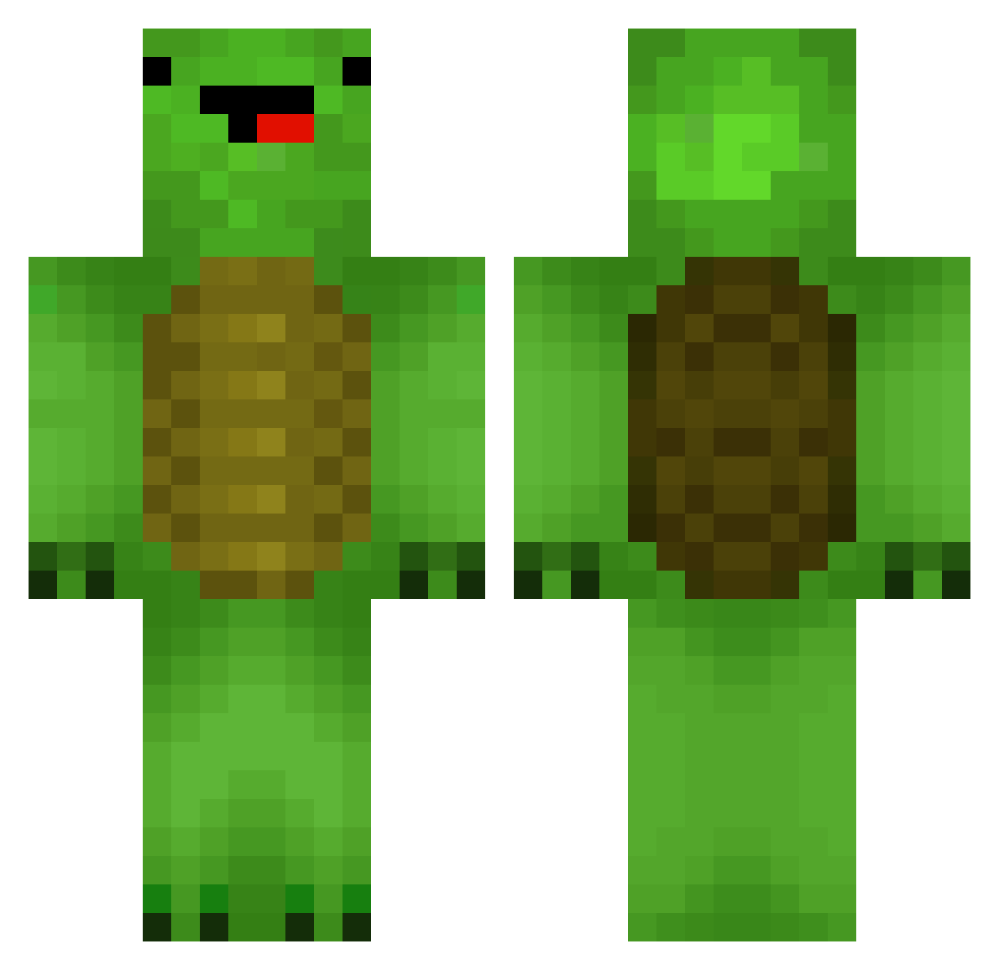 Turtle_Dude32 Minecraft skin, front and back view