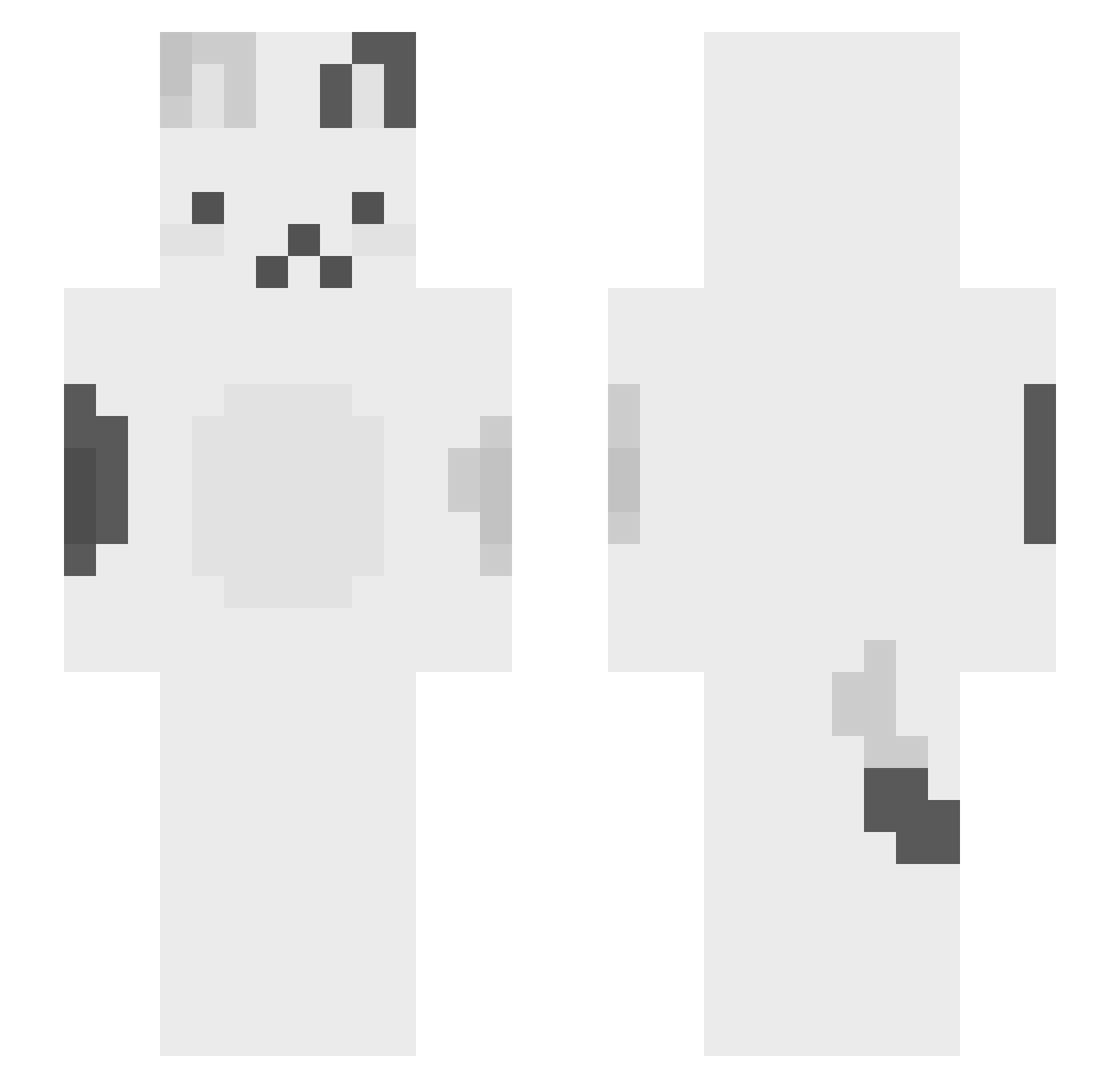 piplups Minecraft skin, front and back view