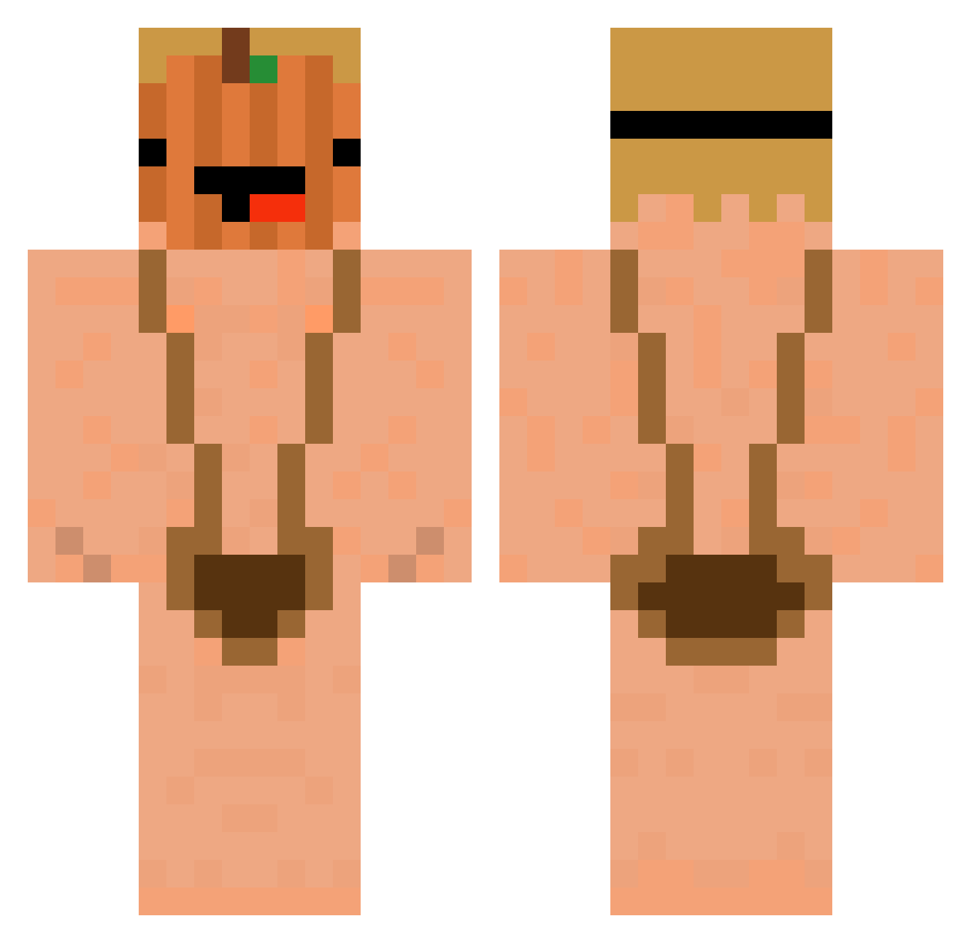 ayc0911 Minecraft skin, front and back view
