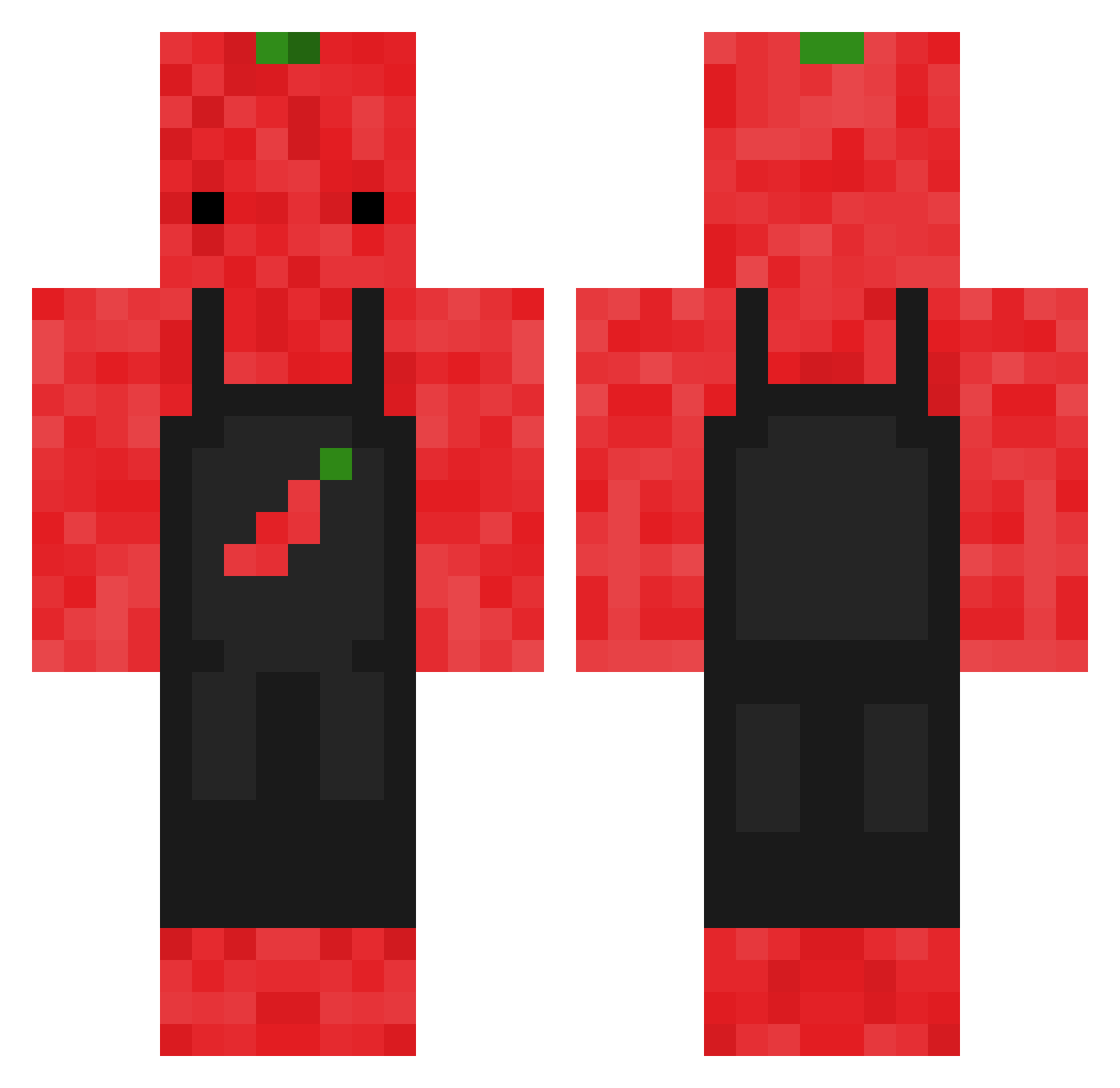 Suolamainen Minecraft skin, front and back view