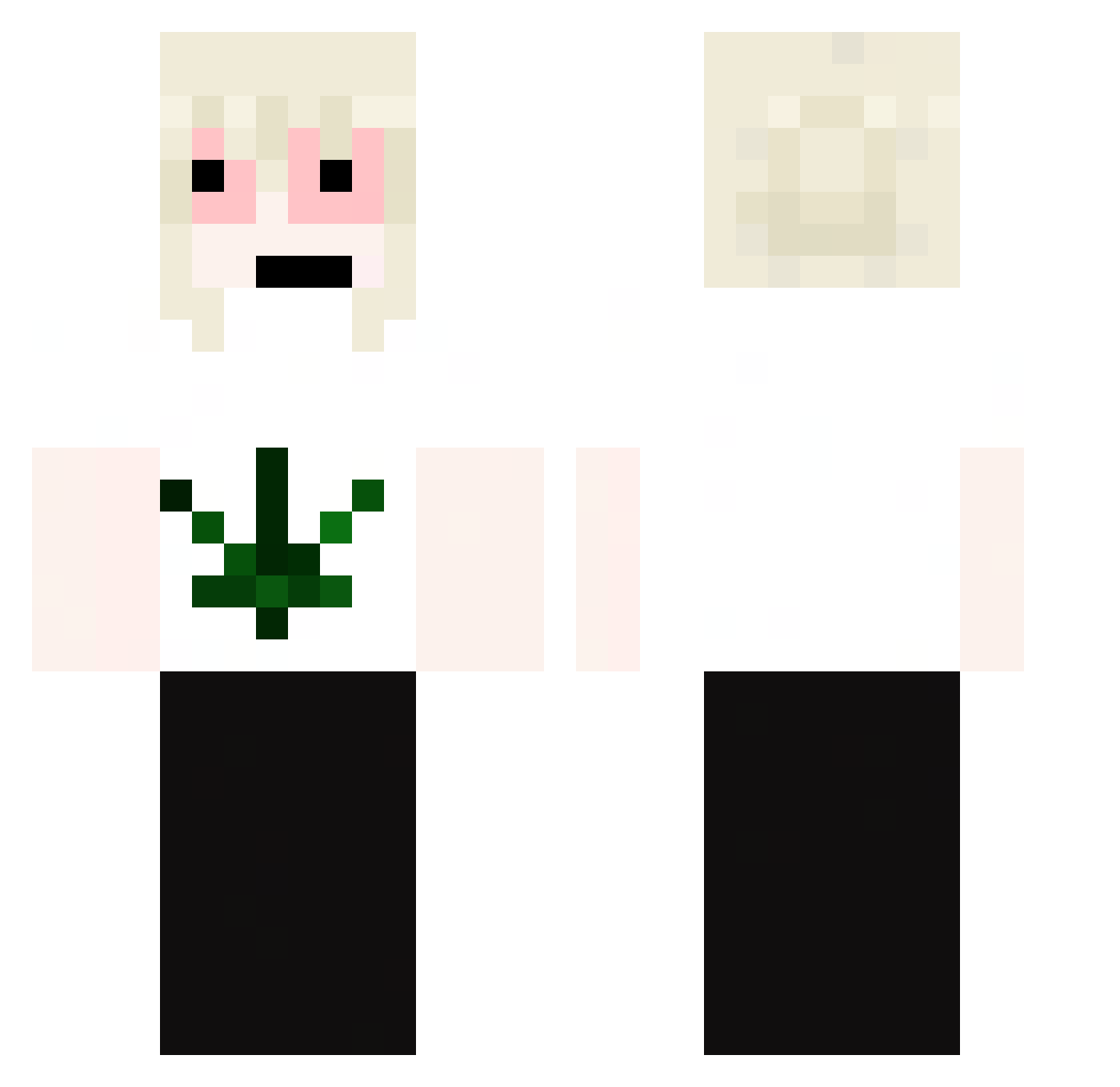 Arizop Minecraft skin, front and back view