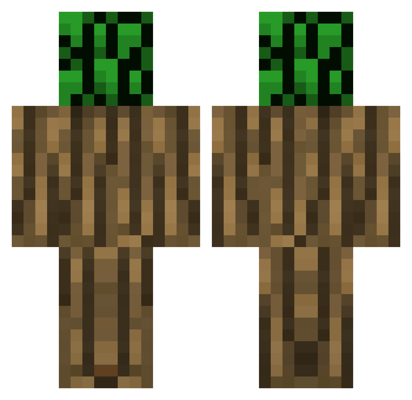 Tneves_06 Minecraft skin, front and back view