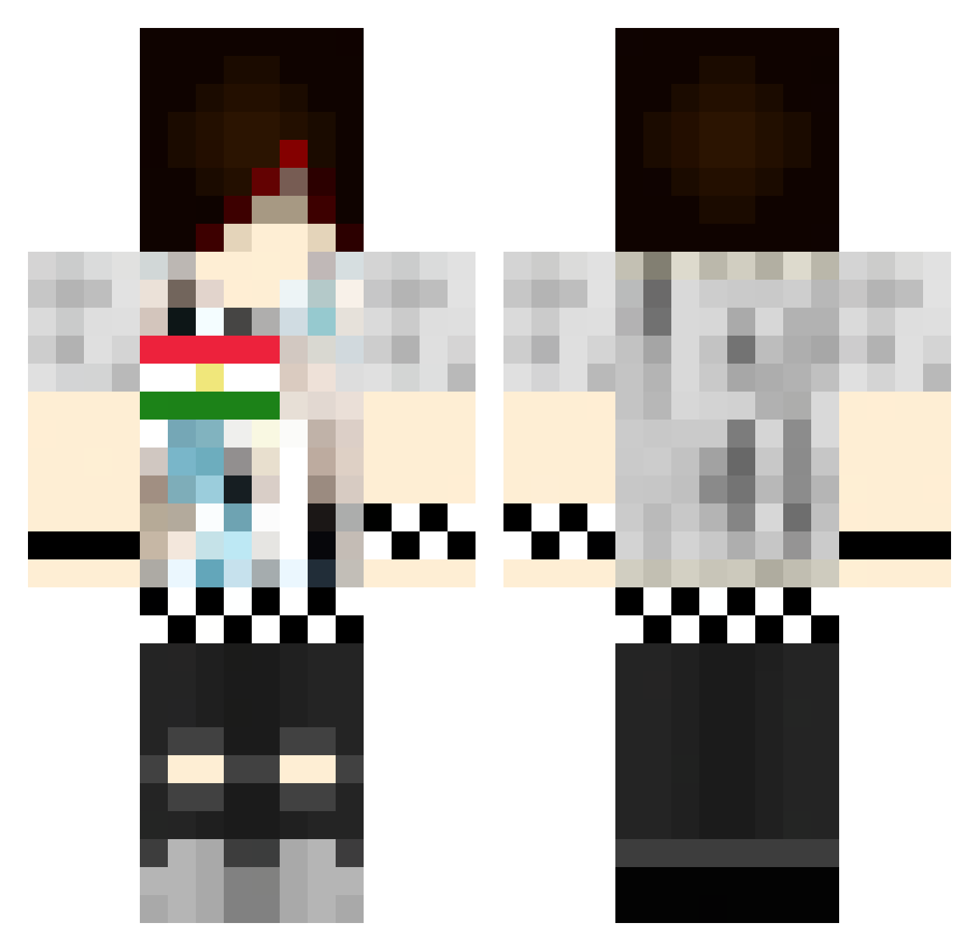 8779 Minecraft skin, front and back view