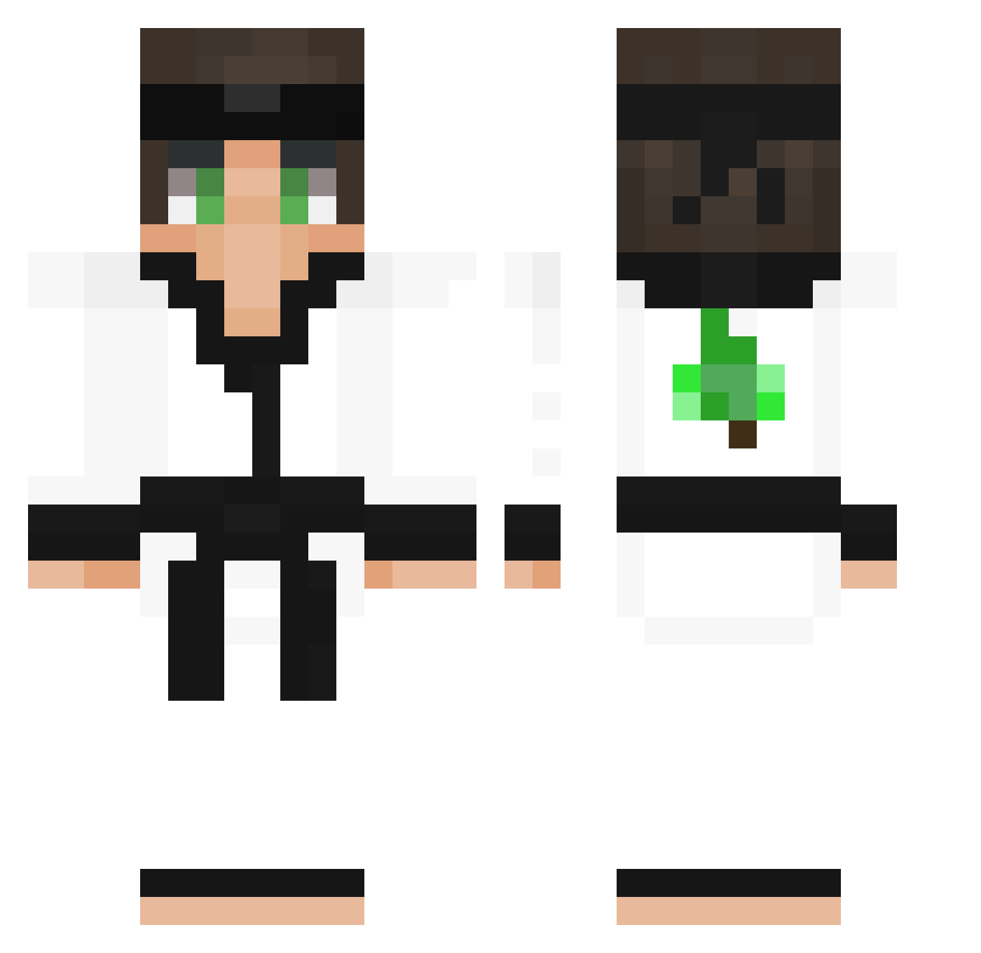 apism Minecraft skin, front and back view