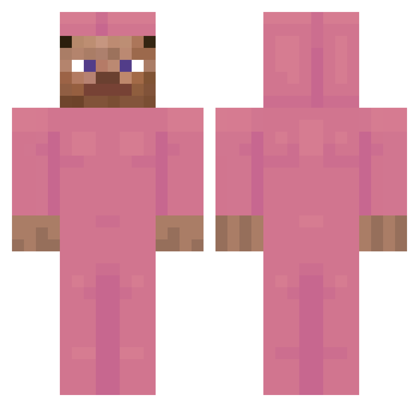 Equidistant Minecraft skin, front and back view
