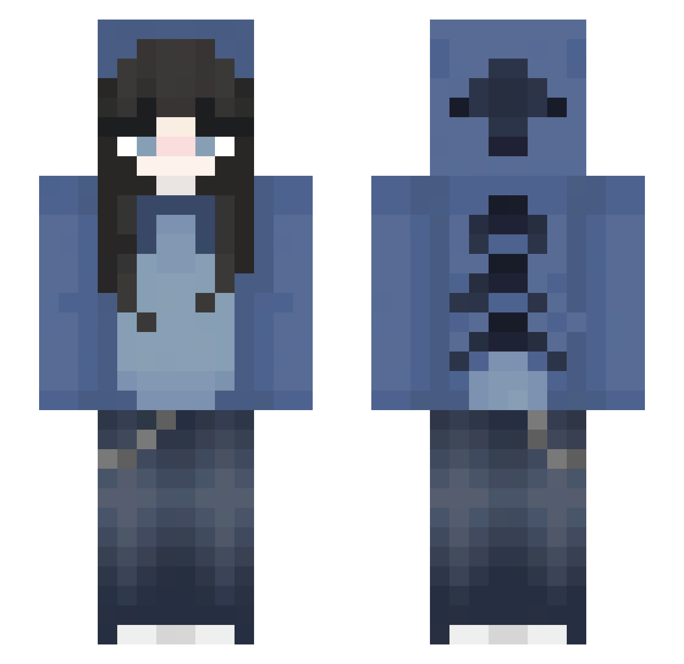 LogicEngine Minecraft skin, front and back view