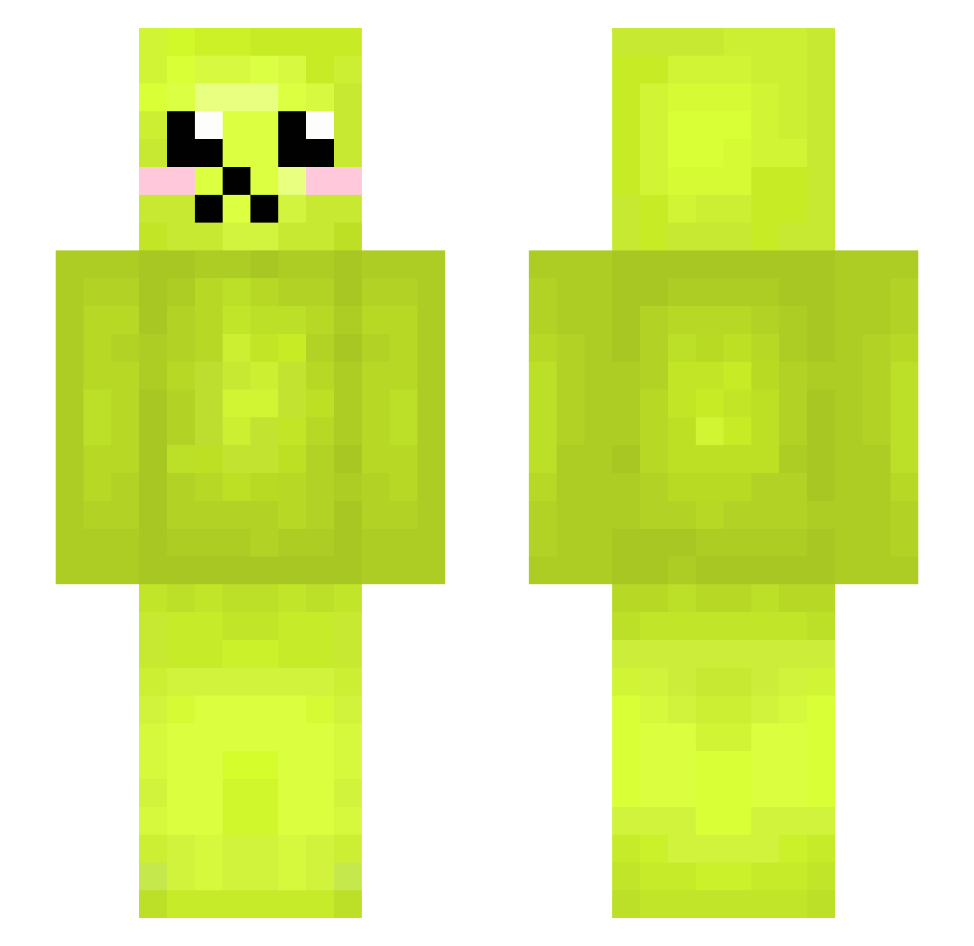 dolitz Minecraft skin, front and back view