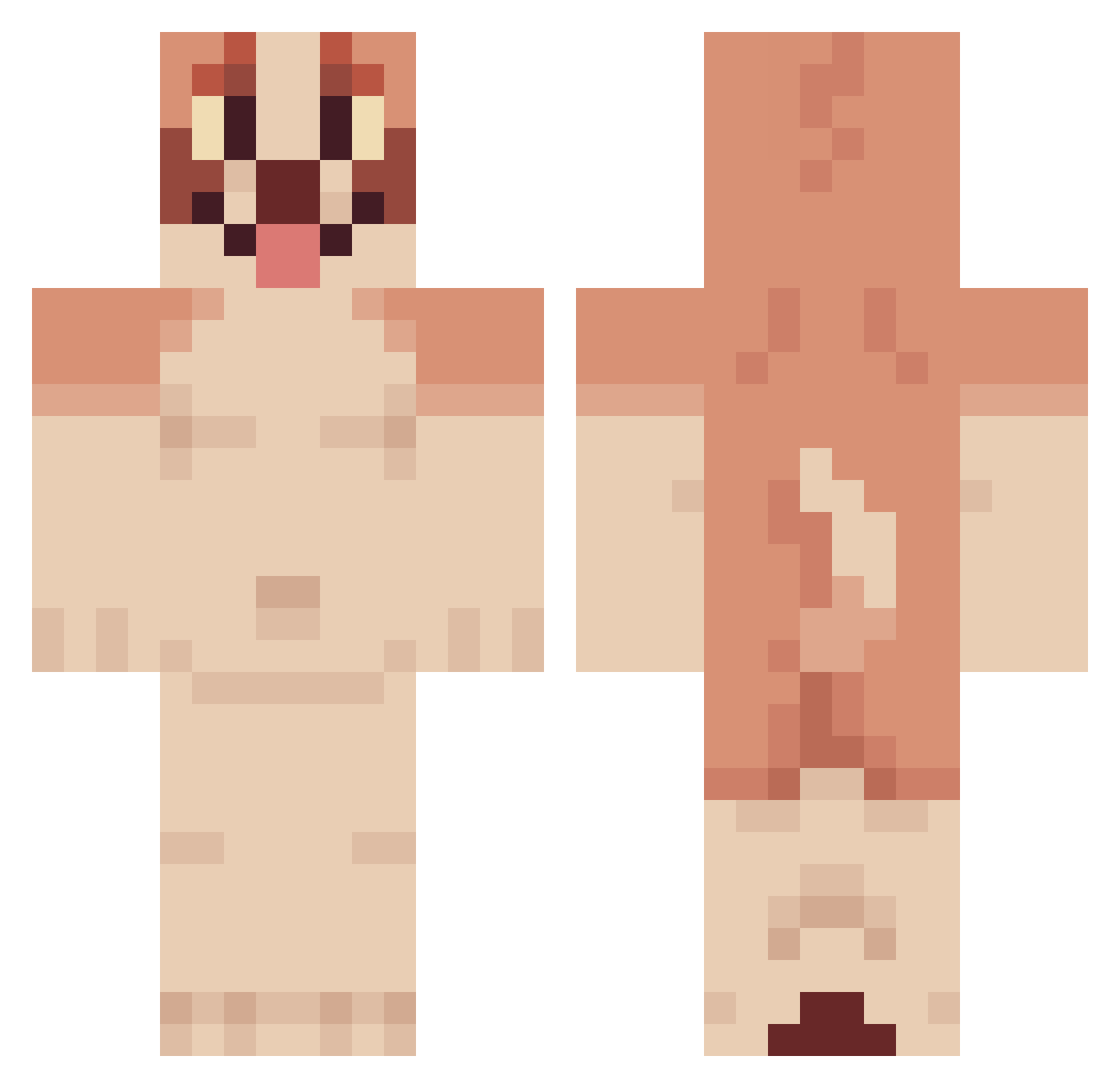 funny_doggy Minecraft skin, front and back view