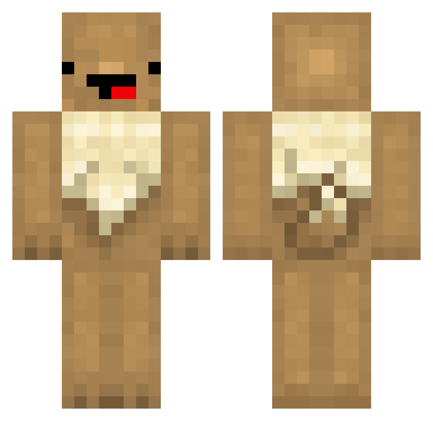 Pinnipeds Minecraft skin, front and back view