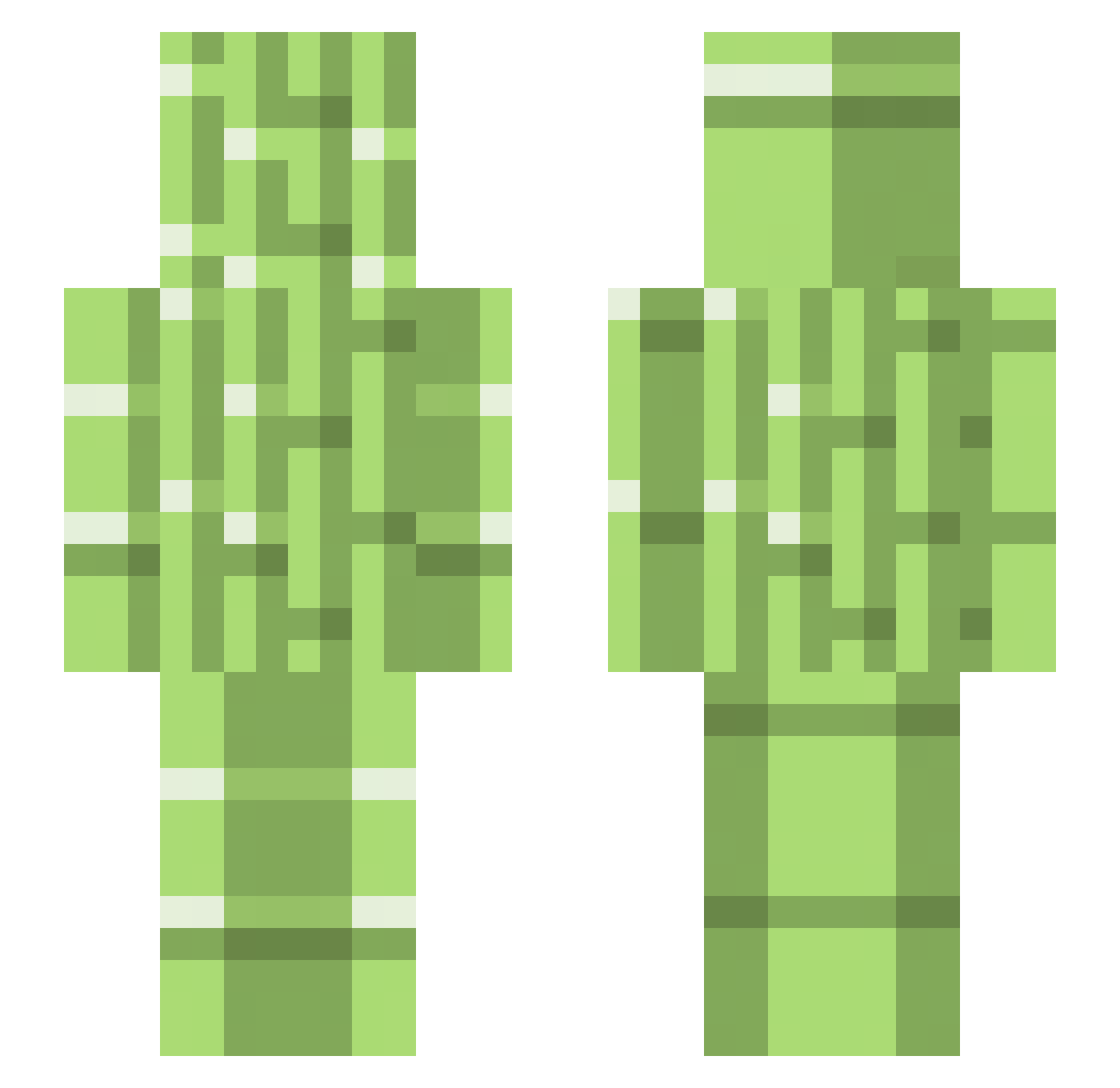NotC4rrot Minecraft skin, front and back view