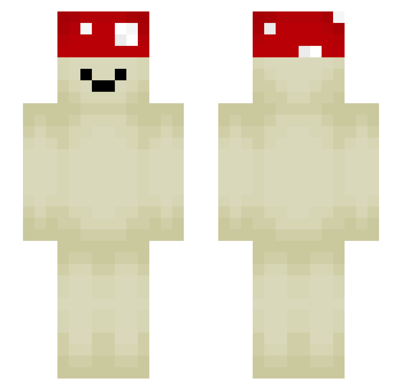 Riser__ Minecraft skin, front and back view