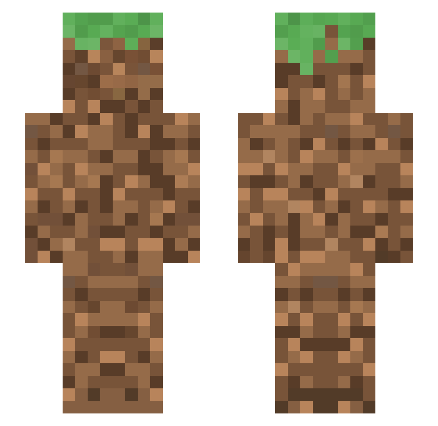 camsbald Minecraft skin, front and back view