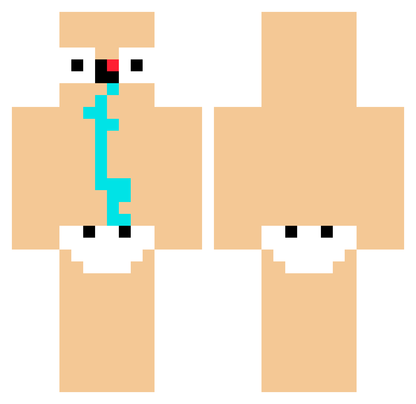 Decoding Minecraft skin, front and back view