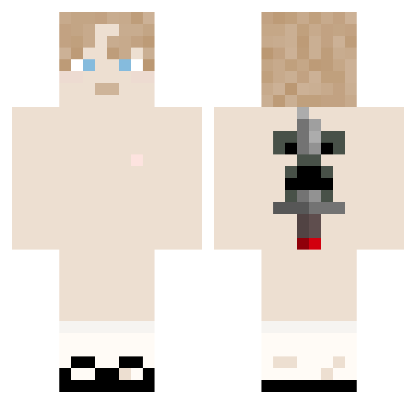222805 Minecraft skin, front and back view