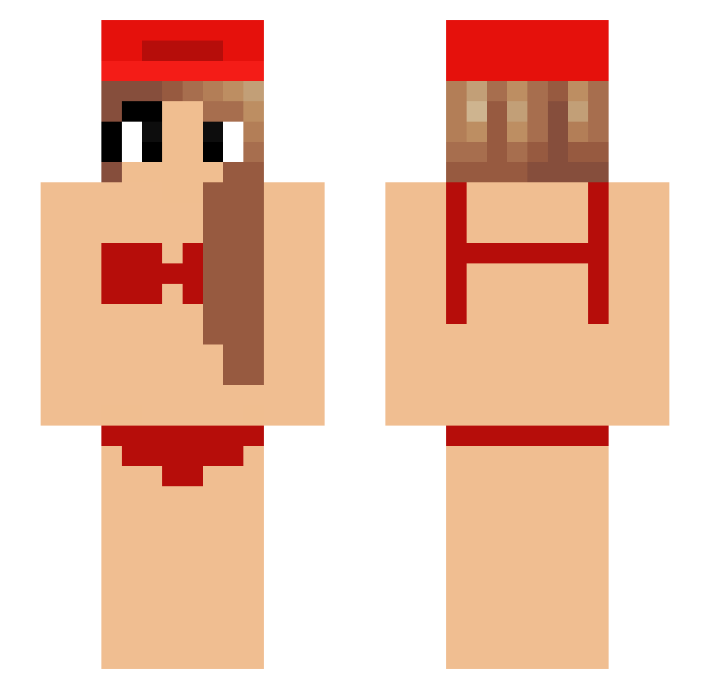 Dani10 Minecraft skin, front and back view