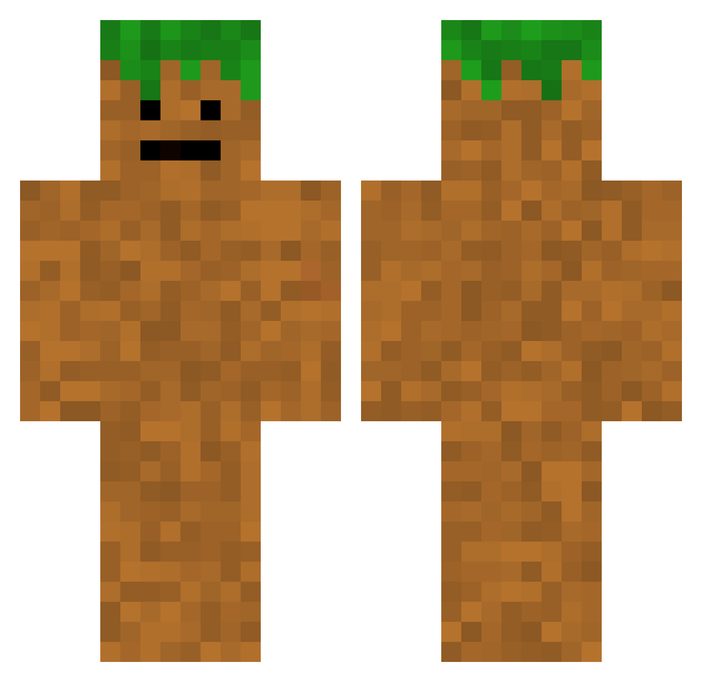 wlmk Minecraft skin, front and back view