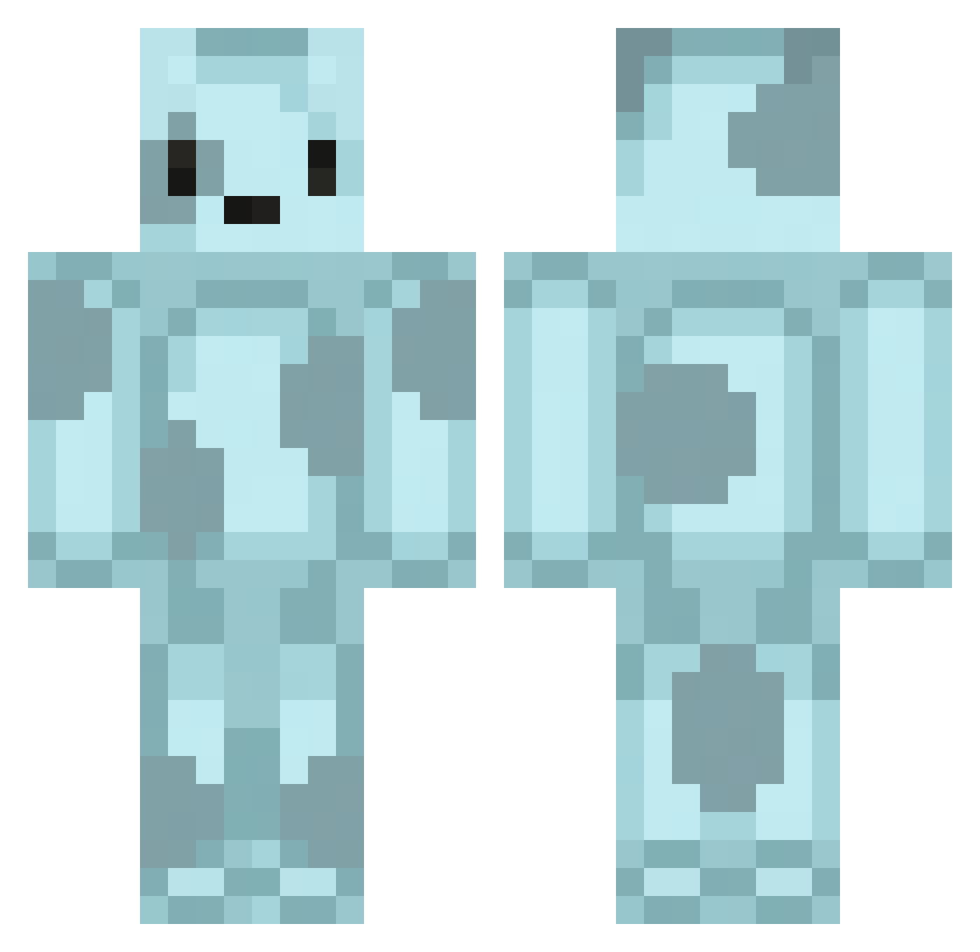 Ninjuct Minecraft skin, front and back view