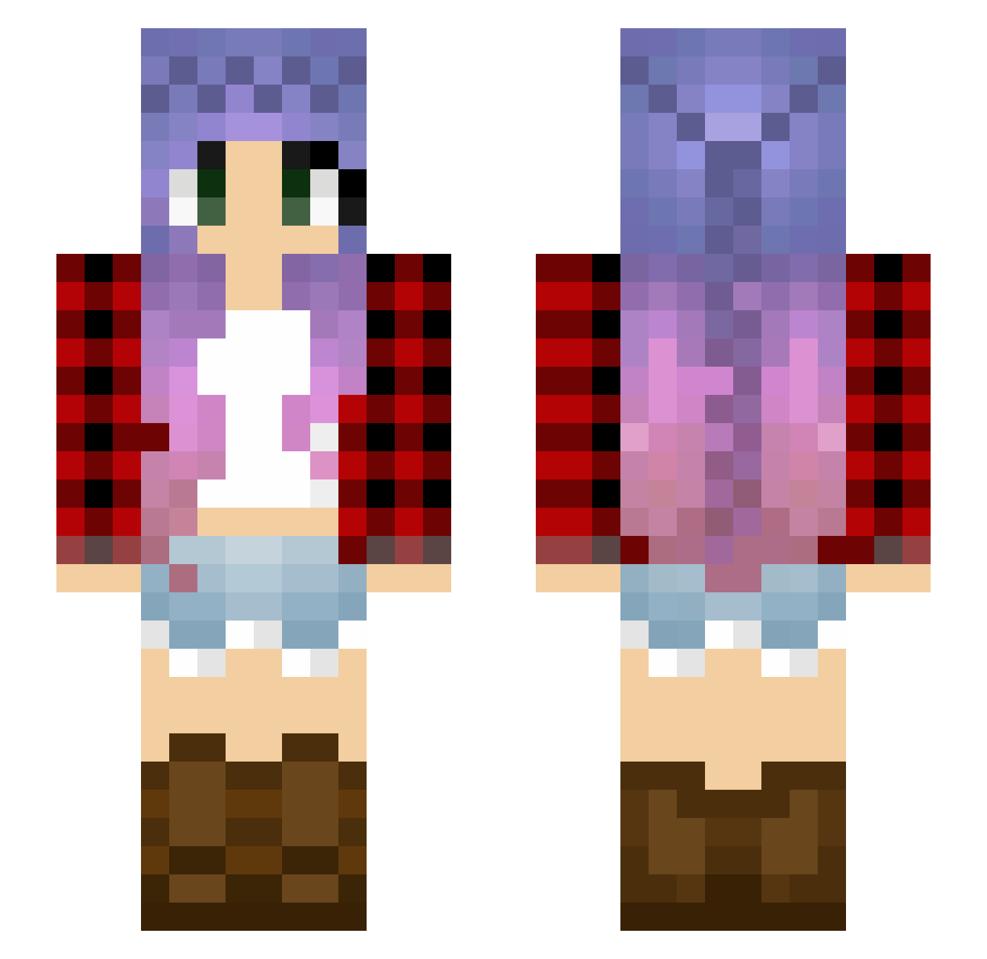 Woad Minecraft skin, front and back view