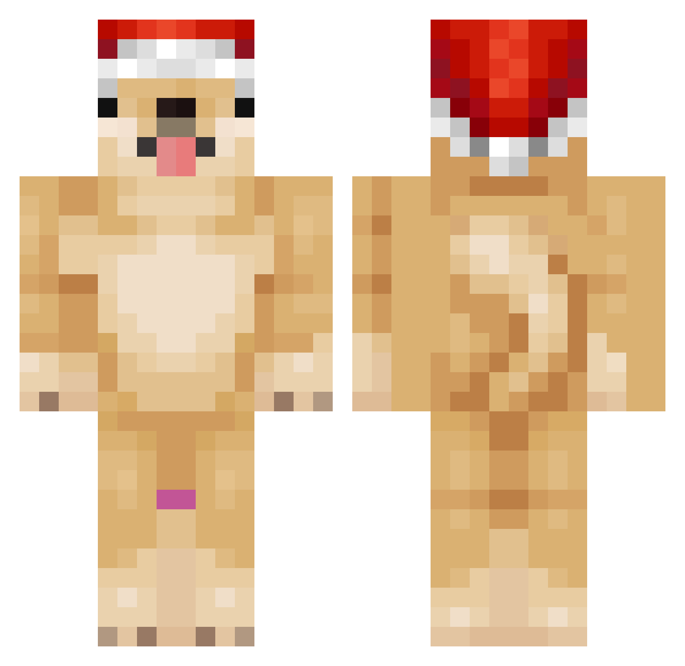 MrDoggieStyl3 Minecraft skin, front and back view