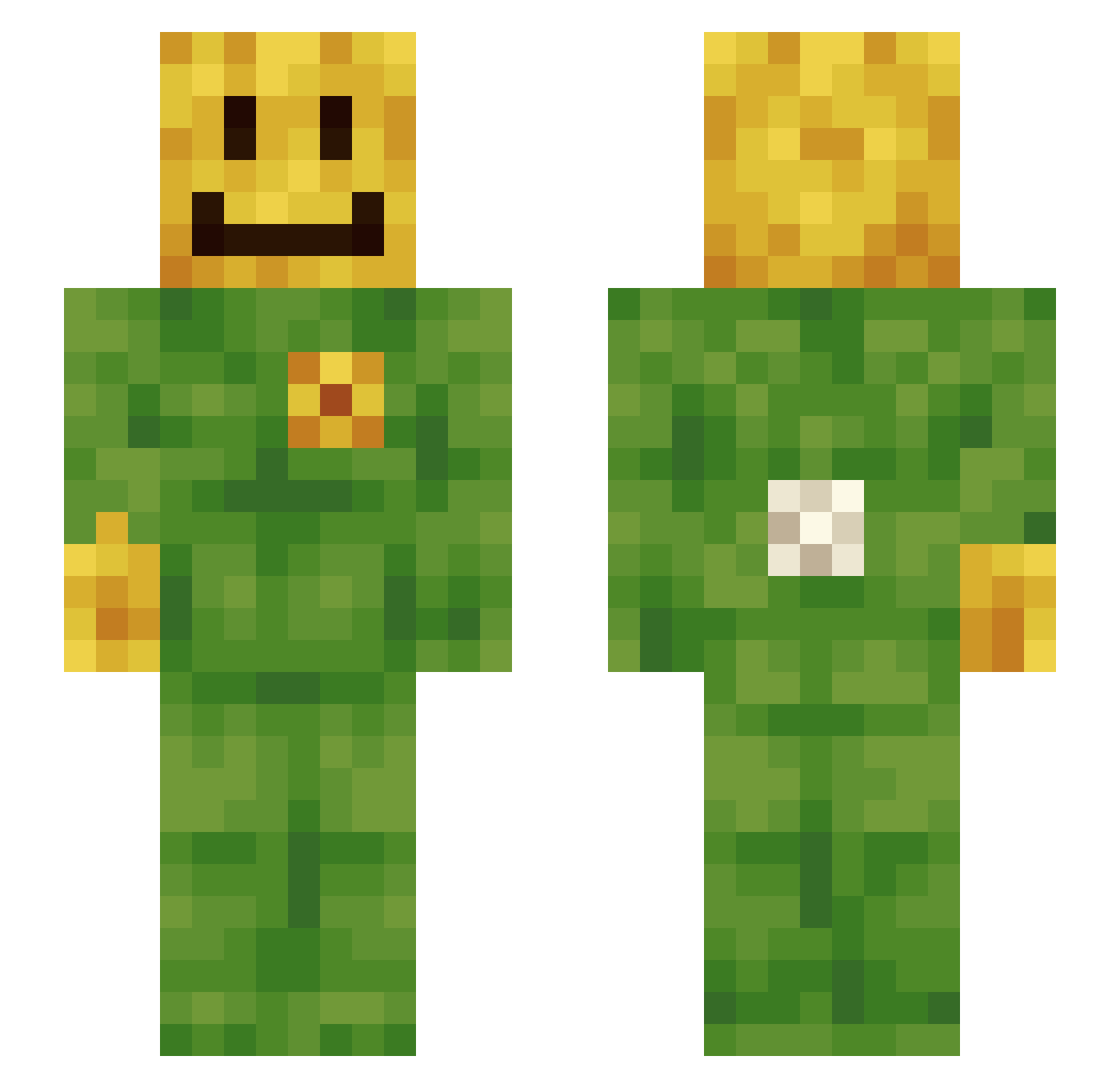 Dezenir2236k Minecraft skin, front and back view