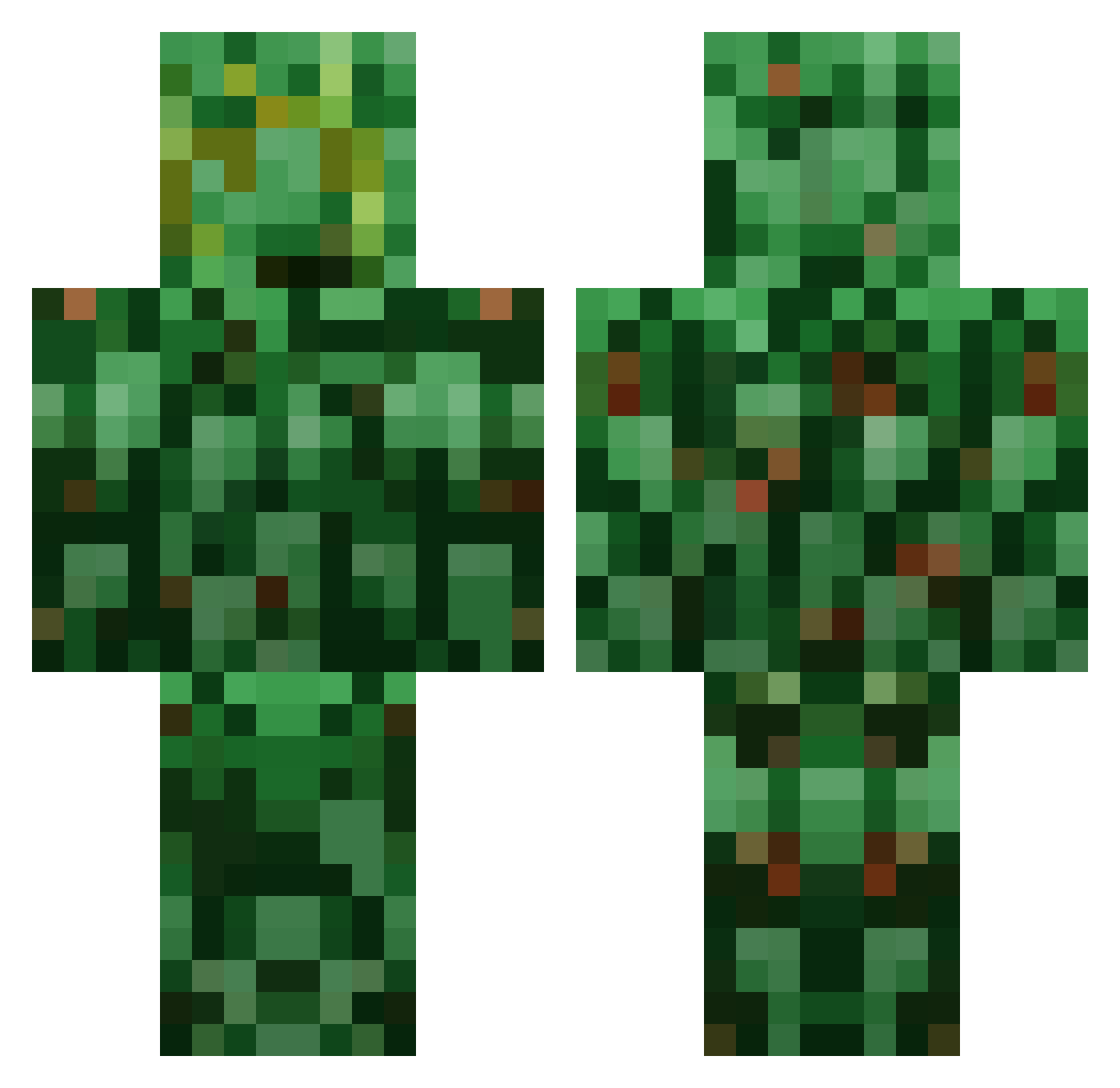 __Bush_ Minecraft skin, front and back view
