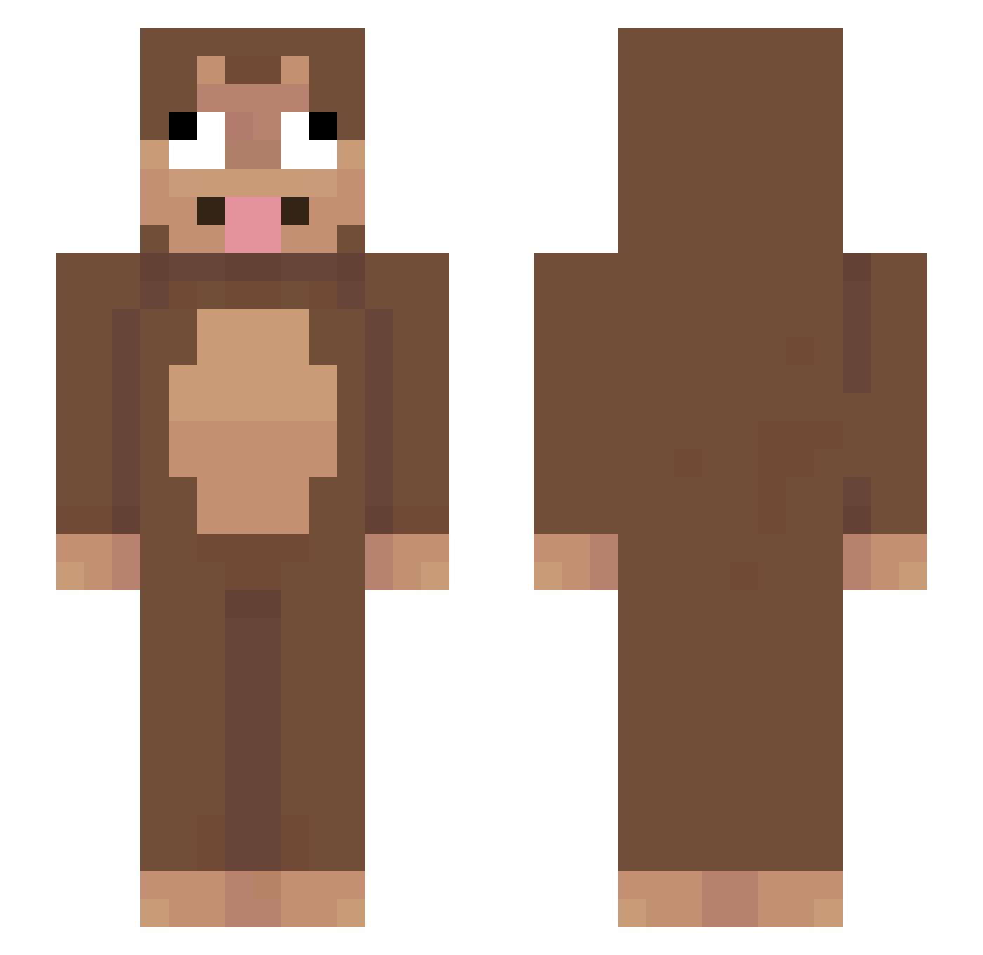 Anshhy Minecraft skin, front and back view