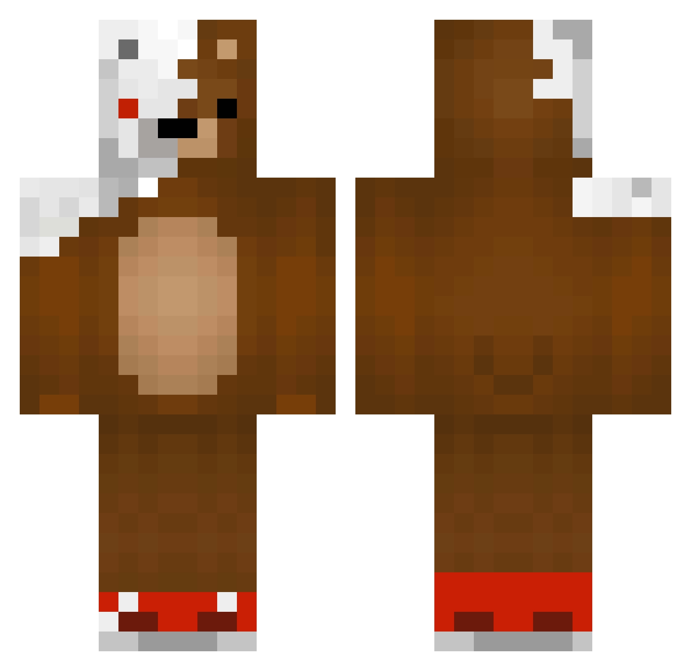 Damichii Minecraft skin, front and back view