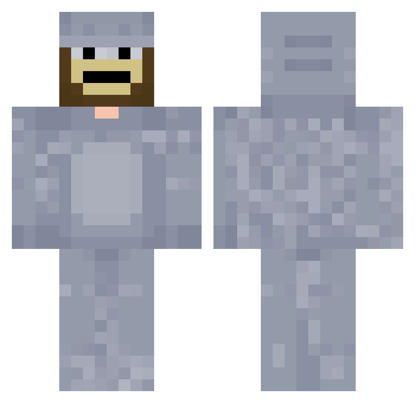 __hidden Minecraft skin, front and back view