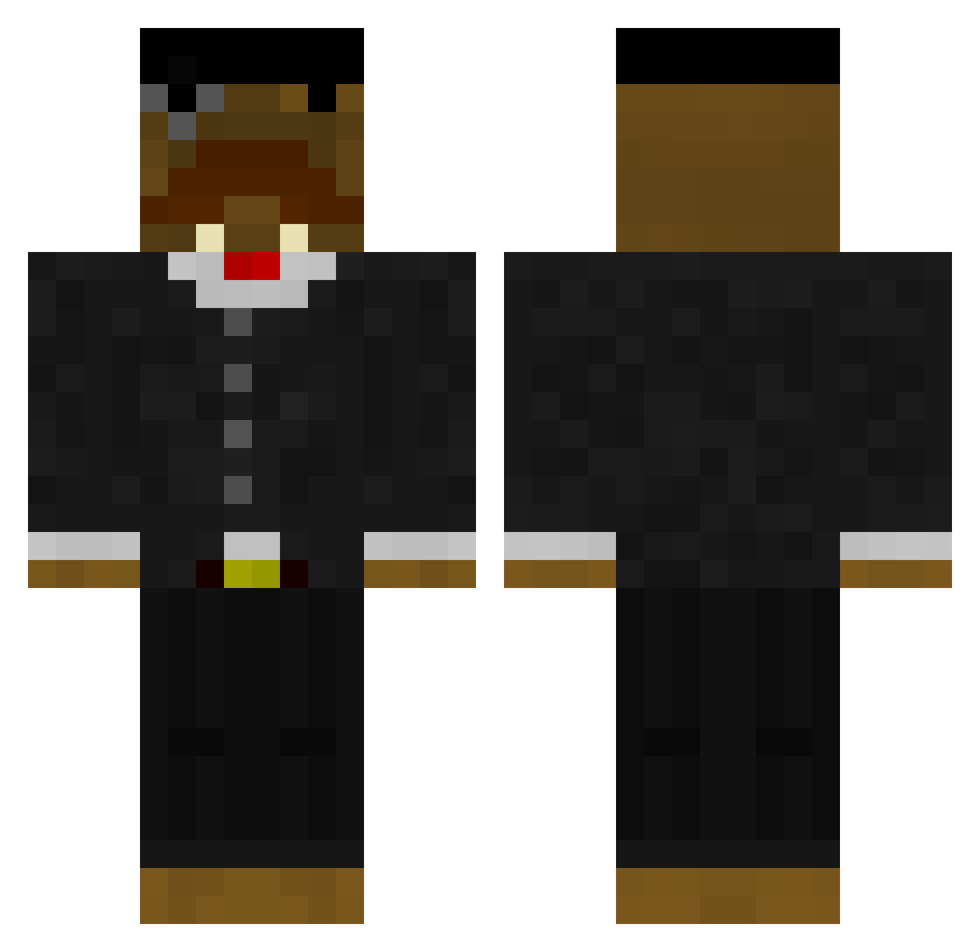 Arctic Minecraft skin, front and back view