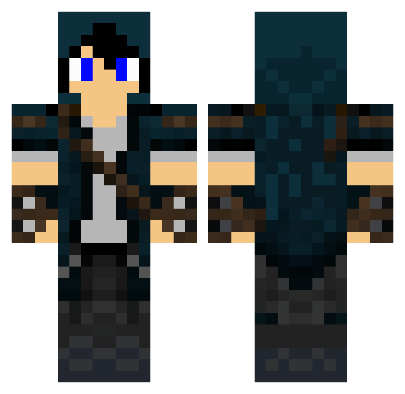 Tokamak Minecraft skin, front and back view
