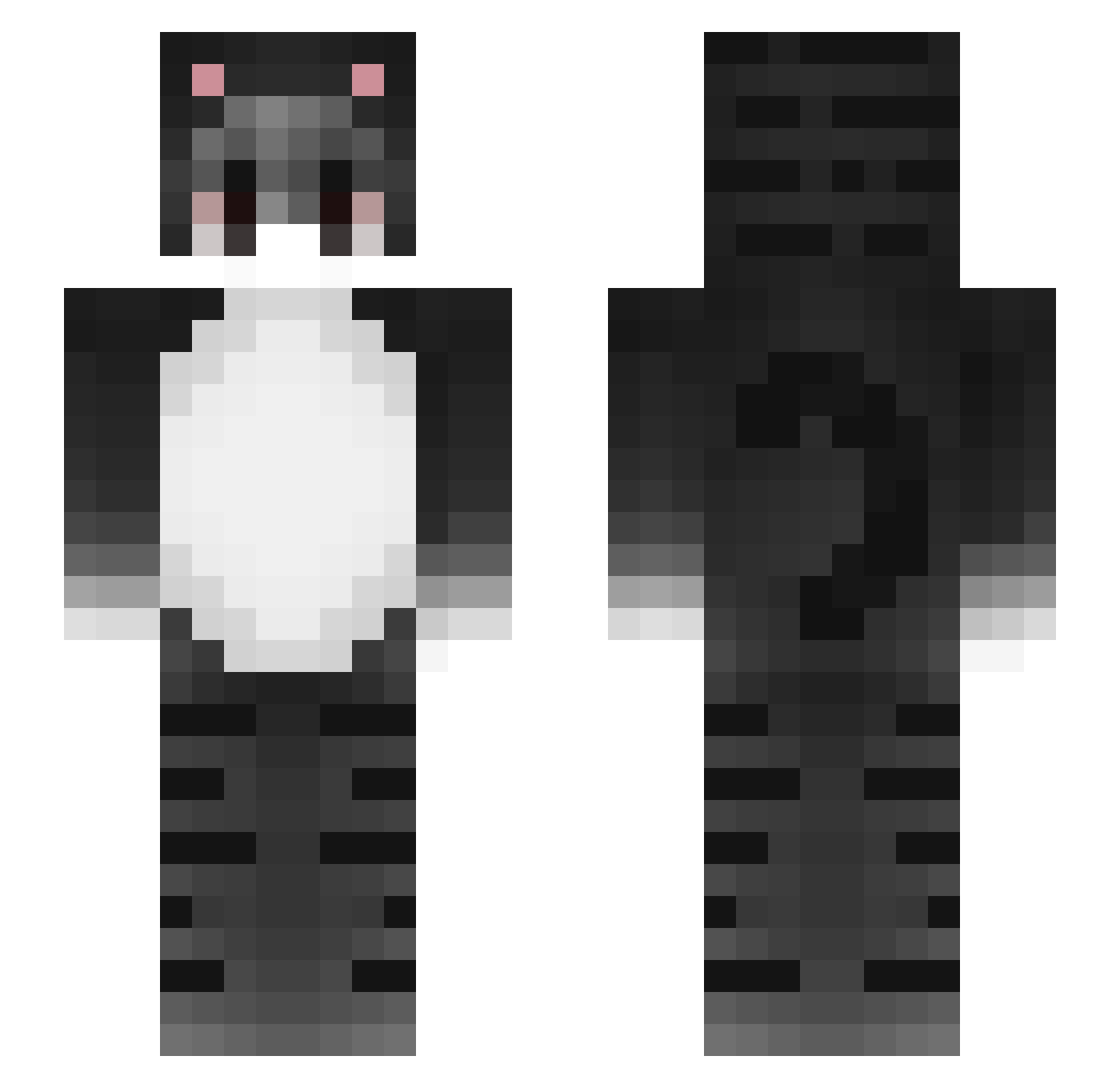 Fanjaa Minecraft skin, front and back view