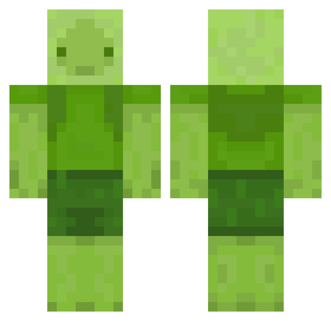 shwampalampa Minecraft skin, front and back view