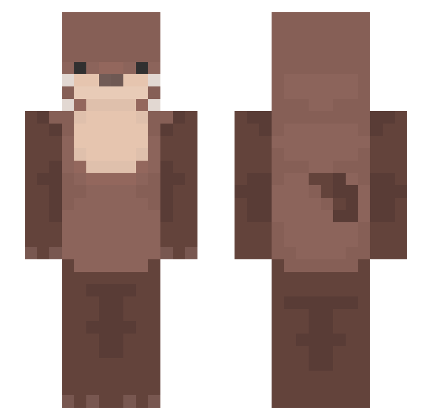 Astrolas_ Minecraft skin, front and back view