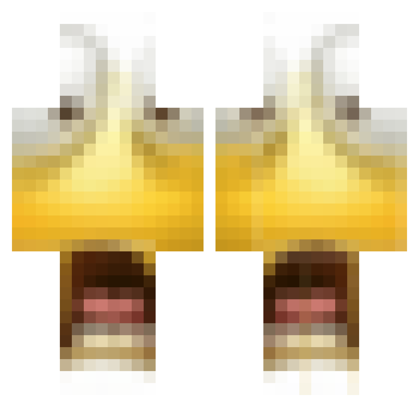 Zylxs_ Minecraft skin, front and back view