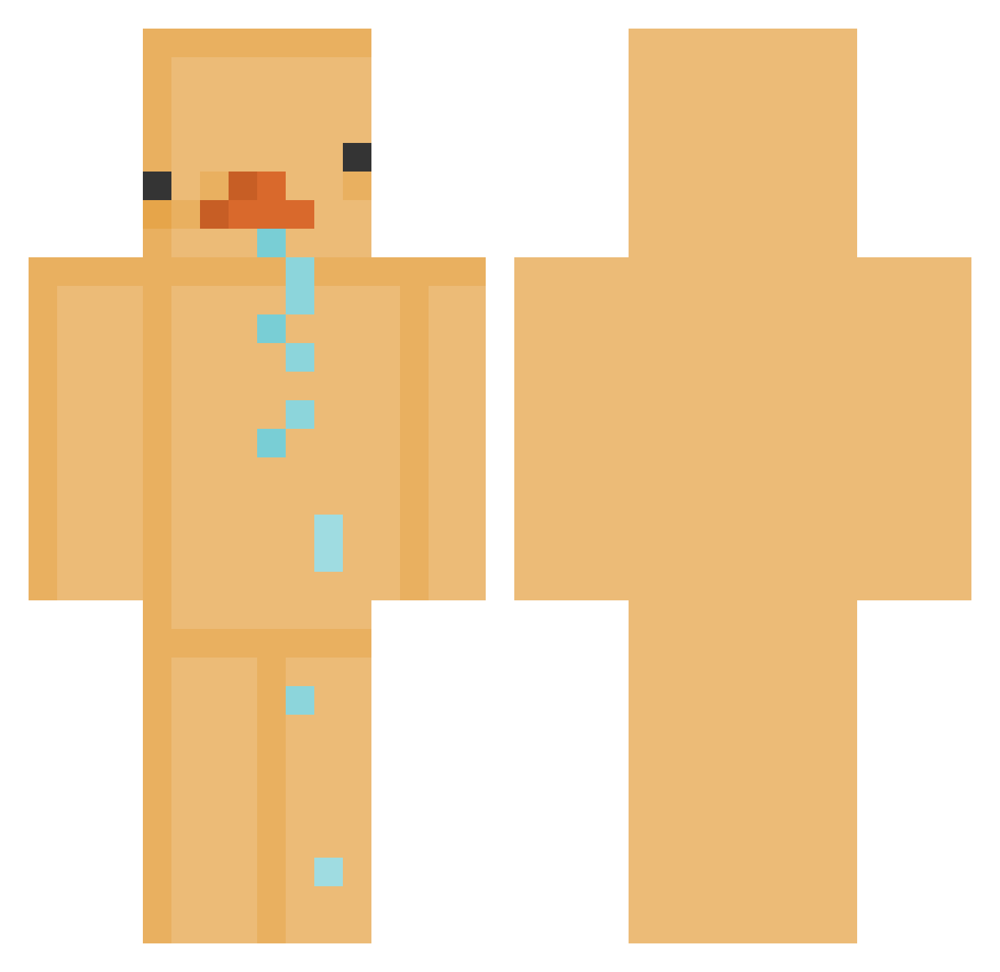 Rain_880 Minecraft skin, front and back view