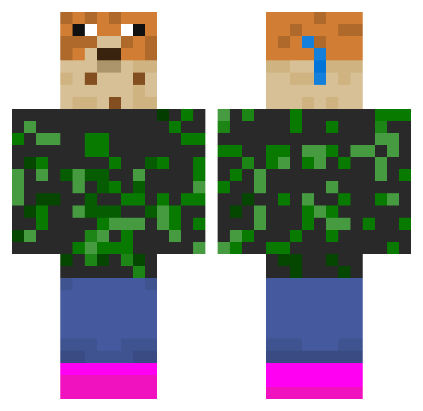 Fin_parv Minecraft skin, front and back view