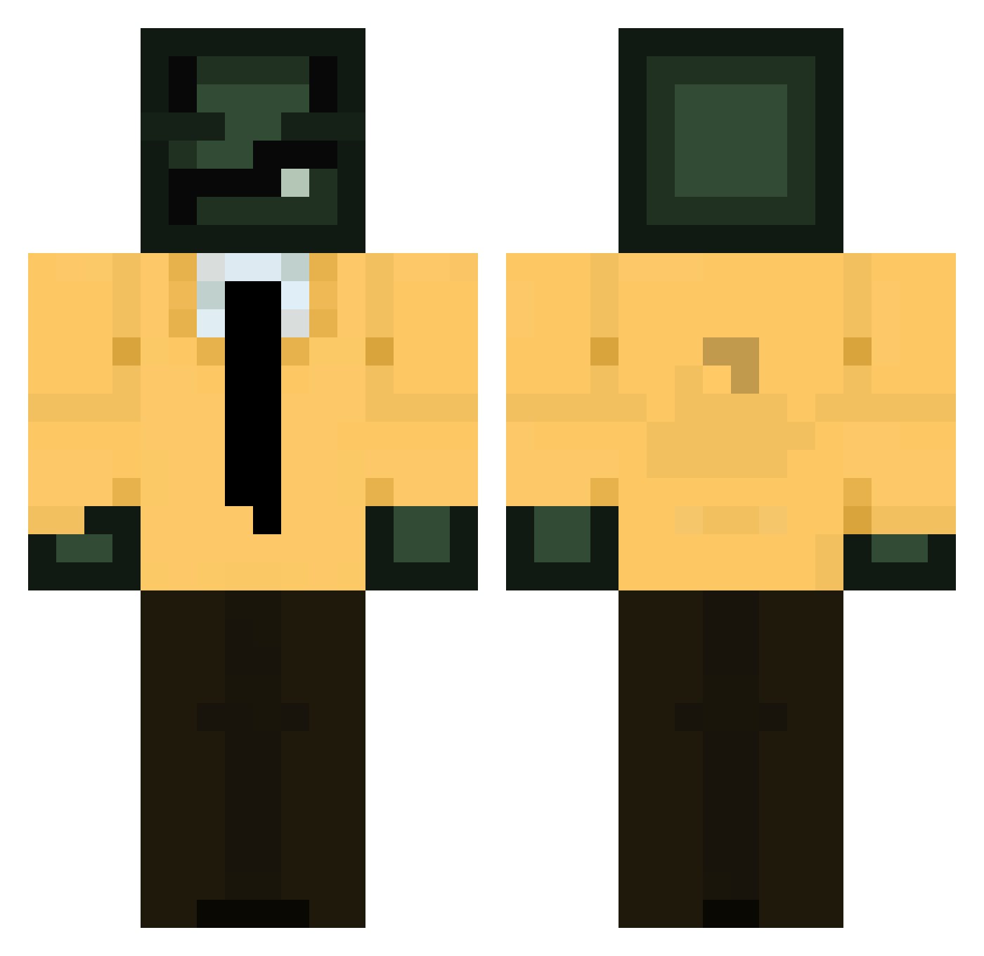 piktupikzg Minecraft skin, front and back view