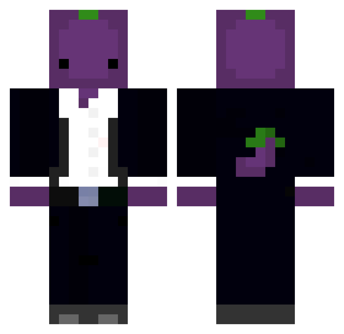 Terpurculosis Minecraft skin, front and back view