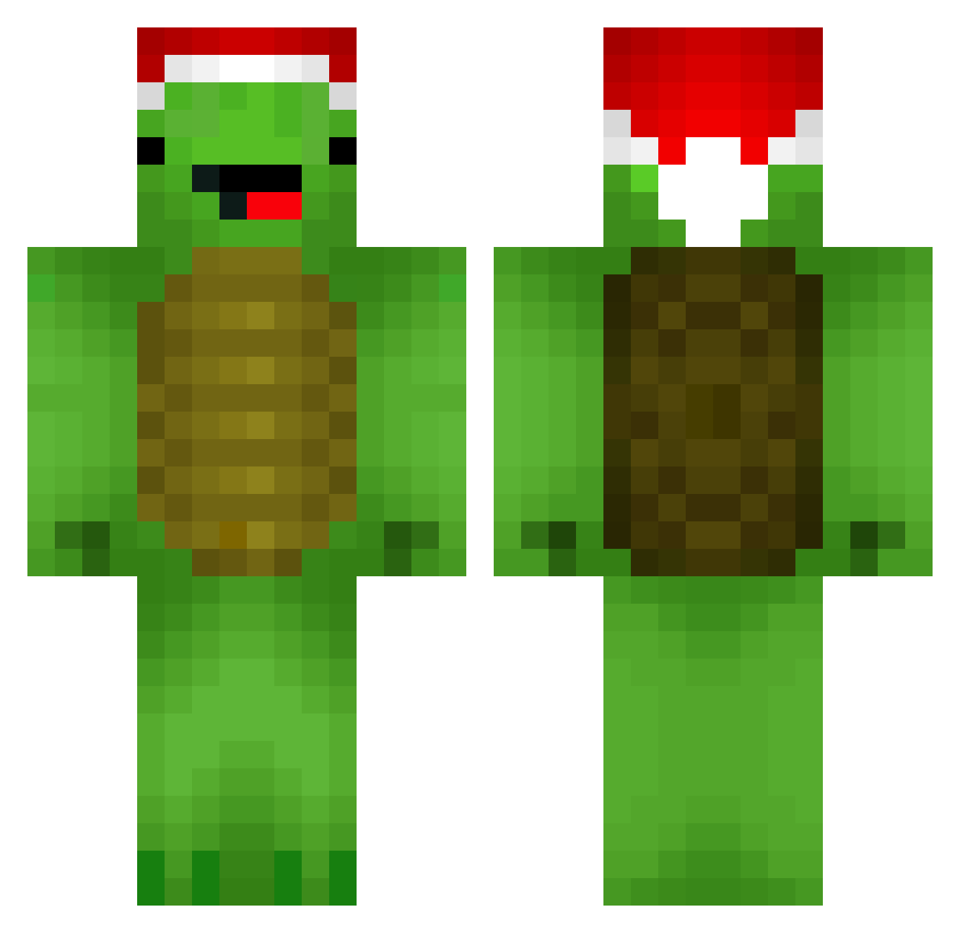 timidturtle34 Minecraft skin, front and back view
