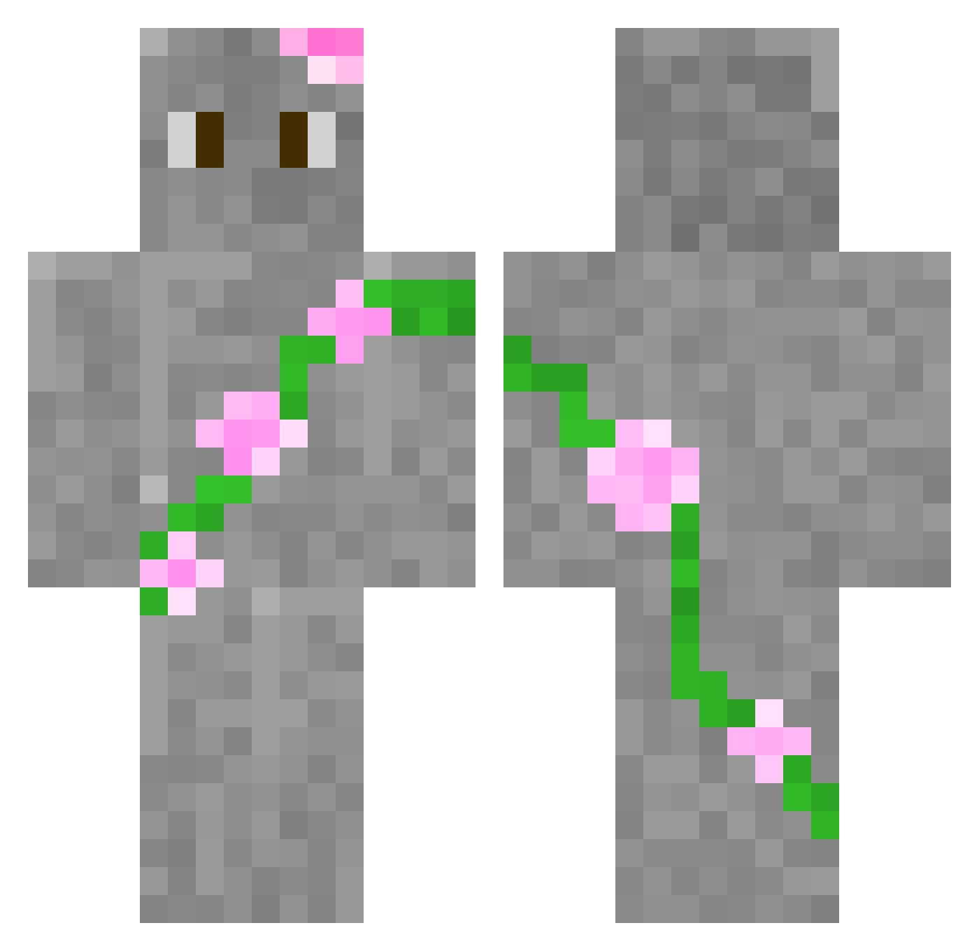 SoftRook8846421 Minecraft skin, front and back view